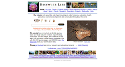 Desktop Screenshot of discoverlife.org